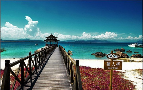 亦花亦果答案茶