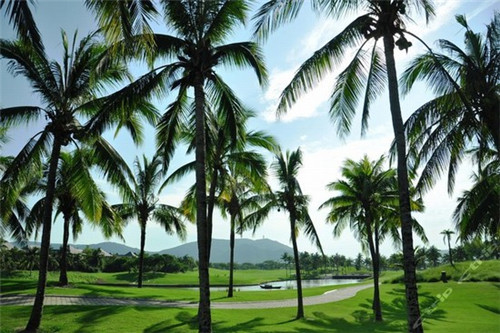 TST韩国秘制炸鸡