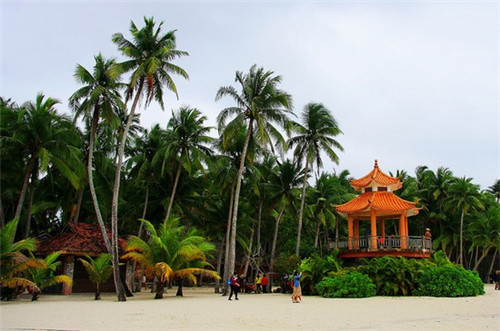 大健康10大品牌，大健康品牌哪个好