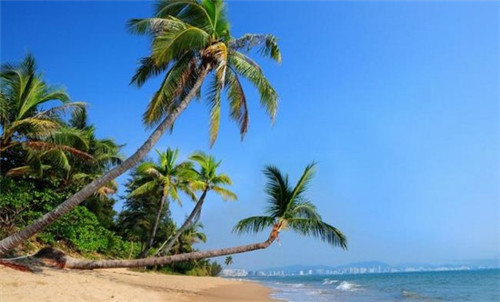 比优福烤鱼总部在什么地方，比优福烤鱼的利润怎么样