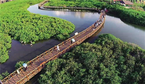 板尚小哥私厨板烧加盟电话是多少，板尚小哥私厨板烧是哪个公司的项目