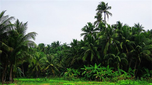 哪些游艇加盟品牌比较靠谱