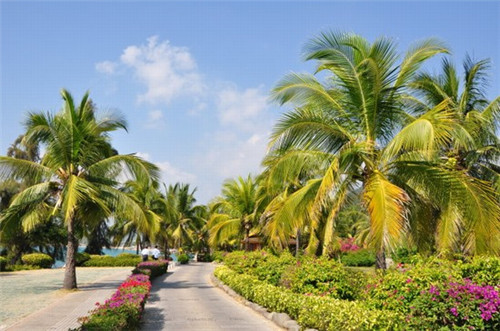 加盟咘咘冰淇淋一月可以挣多少钱，开家咘咘冰淇淋加盟店靠谱吗