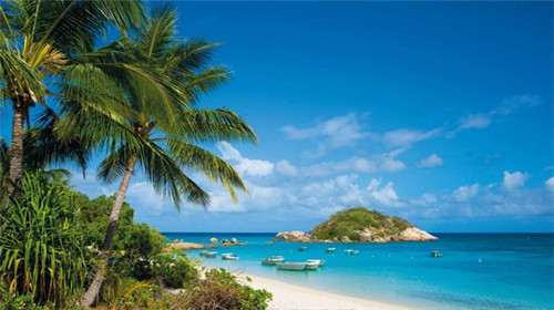 蓝紫色系洗发露（紫色洗发膏）