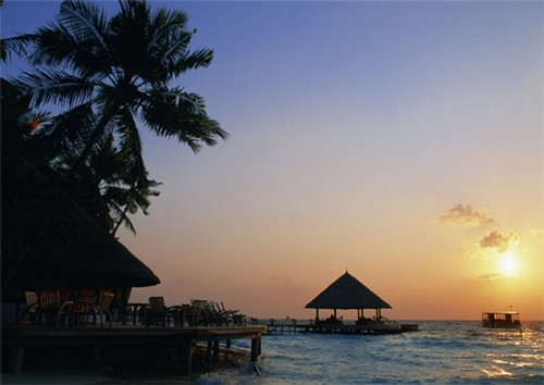 凌晨想起你的照片是什么歌（想你想到凌晨）