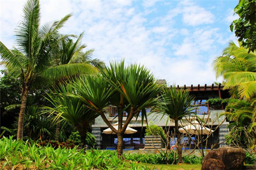 天山天池怎么去景区（到天山天池怎么坐公交车）