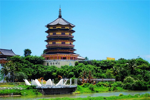 堈字寓意（莟字寓意）